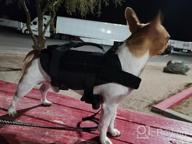 img 1 attached to Tactical Military Dog Harness With Vertical Handle And Durability For Small Puppies - XS (Neck: 11"-17", Chest: 15"-22") review by Ron Damndjperiod