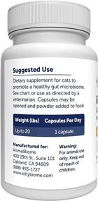 img 2 attached to 🐱 Combat Digestive Issues with AnimalBiome KittyBiome Gut Health Test Kit and Gut Maintenance Plus Dietary Supplement – Probiotics and Prebiotics Reduce Antibiotic-Related Diarrhea, C. Difficile, and E. Coli