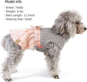 img 3 attached to Stylish KYEESE Plaid Dog Dress with Bowtie: A Charming Sweater Dress for Small Dogs in Fall/Winter