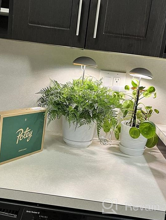 img 1 attached to Full Spectrum LED Grow Lights For Indoor Plants - POTEY 2 Heads, Height Adjustable With Auto On/Off Timer & 5 Dimmable Brightness Settings. review by Dominic Ceo