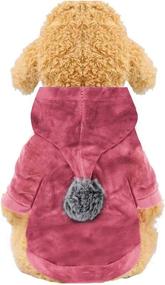 img 4 attached to 🐶 Winter Flannel Dog Hoodie: Stylish Coat for Puppy Small Medium Dogs - YAODHAOD Soft Sweatshirts in Pink