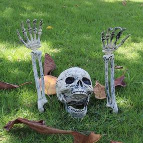 img 2 attached to Halloween Skeleton Decorations For Lawn And Garden: Realistic Skeleton Stakes By AISENO