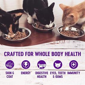 img 2 attached to 🐱 Discover Wellness Core Signature Selects: Chunky Chicken & Salmon Wet Cat Food - Natural, Grain Free and Nutritious