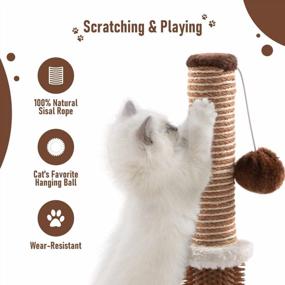 img 2 attached to Jaoul 21" Cat Scratching Post With Double Base Plate And Self Groomer For Indoor Cats