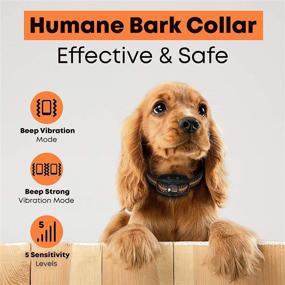 img 3 attached to DOGRANGE Rechargeable Anti Bark Collar - Dual Motor Tech - Humane & No Shock Training - Vibration & Beeps Active Modes - Adjustable for All Breeds - Small Medium Large Dogs