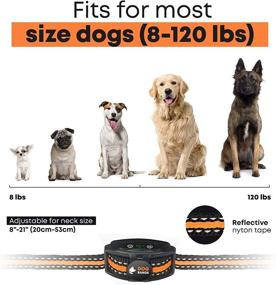 img 2 attached to DOGRANGE Rechargeable Anti Bark Collar - Dual Motor Tech - Humane & No Shock Training - Vibration & Beeps Active Modes - Adjustable for All Breeds - Small Medium Large Dogs