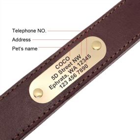 img 2 attached to Didog Genuine Leather Dog Collars With Engraved Nameplate, Personalized Soft Leather Dog Collar With Custom ID Tag, Brown/Green/Red For Medium Large Dogs (S, Brown Set)