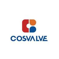 cosvalve логотип