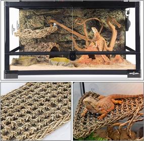 img 2 attached to 🦎 Premium Tfwadmx Bearded Dragon Hammock Kit: 3 Pack Reptile Loungers with Seagrass Fibers for Comfortable Climbing - Ideal for Geckos, Anoles, Iguanas, Hermit Crabs, and more!