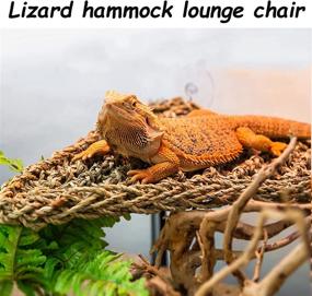 img 3 attached to 🦎 Premium Tfwadmx Bearded Dragon Hammock Kit: 3 Pack Reptile Loungers with Seagrass Fibers for Comfortable Climbing - Ideal for Geckos, Anoles, Iguanas, Hermit Crabs, and more!