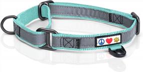 img 4 attached to Pawtitas Teal Martingale Dog Collar: Reflective, Training, And Behavioral Collar For Large And Small Puppies!