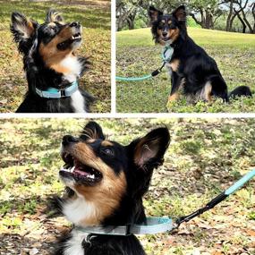 img 3 attached to Pawtitas Teal Martingale Dog Collar: Reflective, Training, And Behavioral Collar For Large And Small Puppies!