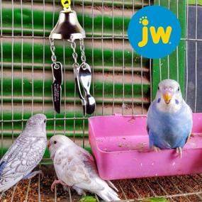 img 2 attached to 🐦 Small Bird Toy by JW Pet Company - Activitoy Fork, Knife, and Spoon" (Color Variation)