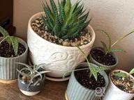 img 1 attached to Retro Black 4 Inch Ceramic Planters With Drainage Hole & Bamboo Tray - Perfect For Indoor Succulents, Flowers, Herbs, & Aloes (4 Pack) review by Roberto Nastanovich