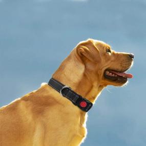 img 3 attached to 🐾 Enhanced Safety and Visibility: Taglory Reflective Dog Collar with Safety Locking Buckle, Ideal for Large Dogs, Adjustable Nylon Collar in Black