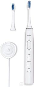 img 4 attached to Ultra Durable Replacement Electric Toothbrush Head by SprinJene