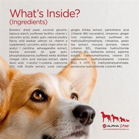 img 1 attached to Alpha Dog ON! Soft Chew Dog Multivitamin: Boost Aging & Cognitive Health in Dogs with All-in-One Nootropic, Antioxidant, Vitamin & Mineral Supplement (All Canine Life Stages & Breeds)