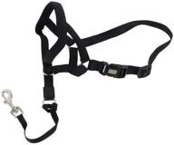 🐶 coastal pet - walk and train - canine head halter - black logo