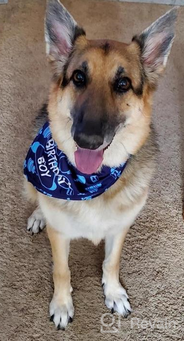 img 1 attached to Celebrate Your Pup'S Big Day With TCBOYING'S 11-Piece Dog Birthday Set – Blue Bandana, Hat, Scarf, Flags, Balloons & More! review by Niko Knight