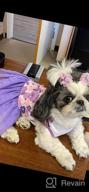 img 1 attached to 👗 QingLuo Sweet Puppy Dog Princess Dress - Pink/Purple Bow Lace Tutu Skirt - Doggie Dress for Dog/Cat (X-Small, Purple) review by Robert Sorrells