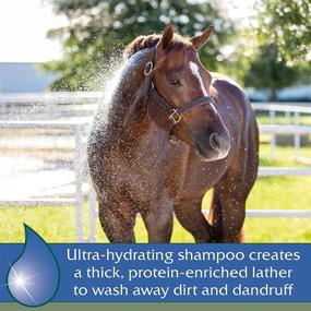 img 3 attached to 🐴 Farnam Vetrolin Bath Ultra-Hydrating Shampoo for Horses and Dogs: 32 Oz Professional Formula