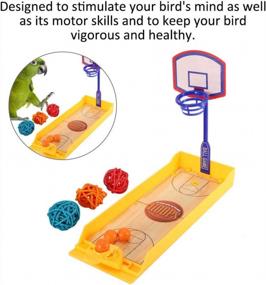 img 3 attached to Durable Pet Parrot Basketball Exercise Training Toy Set - Enhance Bird Intelligence And Skills With Educational Bird Toy