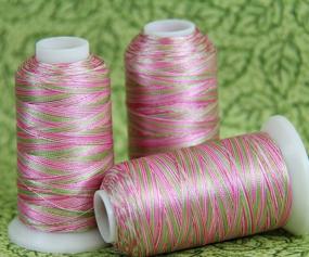 img 1 attached to 40Wt 1000M Polyester Embroidery Thread Set - 4 Pastel Variegated Shades - 5 Sets Available