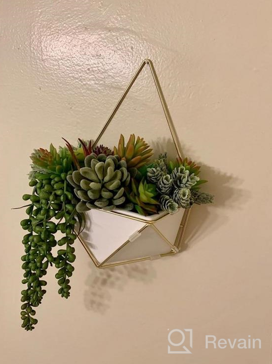 img 1 attached to Supla 14 Pcs Artificial Succulents Plants In Bulk Assorted Unpotted Hanging String Of Pearls Cactus Aloe Picks Small Fake Succulents For Wreath Centerpiece Floral Arrangement Indoor Outdoor Home Décor review by Todd Raynie