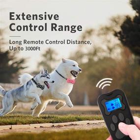 img 2 attached to 3000Ft Remote Range Dog Training Collar with Beep Vibration and Shock - Ideal for Small, Medium, and Large Dogs Training