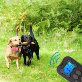 img 1 attached to 3000Ft Remote Range Dog Training Collar with Beep Vibration and Shock - Ideal for Small, Medium, and Large Dogs Training