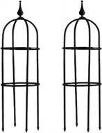 2pcs alapaste garden obelisk trellis: black steel climbing frame for outdoor plants - tall tower support for vines, roses and flowers - wrought iron metal design for optimal garden growth logo