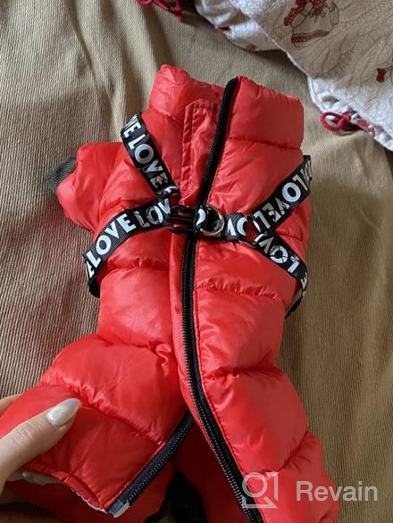 img 1 attached to Didog Winter Small Dog Coats: Waterproof, Warm & Harness Compatible For Puppy & Cat Walking Hiking - Red (Chest 13") review by James Lapa