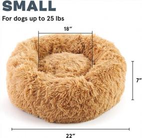 img 3 attached to Get Comfy With Barkbox 2-In-1 Memory Foam Donut Cuddler Dog And Cat Bed For Joint Relief And Calmness - Removable Cover, Machine Washable, Waterproof Lining, And Toy Included!