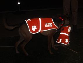 img 1 attached to 🐶 High Visibility Dog Safety Orange Reflective Vest with Leash Hole - 4LegsFriend, 5 Sizes - Keep Your Dog Visible, Safe from Cars & Hunting Accidents during Outdoor Activity Day and Night