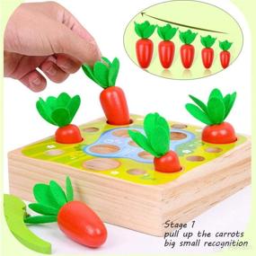 img 2 attached to Xylolin Carrots Magnetic Fishing Montessori
