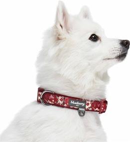 img 1 attached to 🌸 Blueberry Pet Neoprene Padded Dog Collars with Soft & Comfy Flower Print in 10+ Patterns