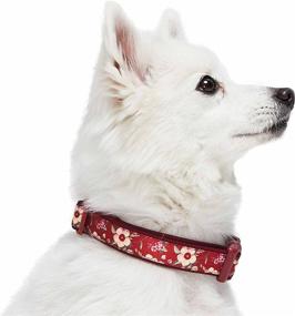 img 2 attached to 🌸 Blueberry Pet Neoprene Padded Dog Collars with Soft & Comfy Flower Print in 10+ Patterns