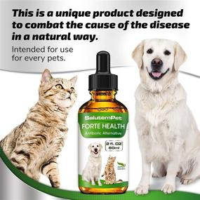 img 2 attached to 🌿 Organic Herbal Supplement for Dogs and Cats - Cranberry, Oregano, Echinacea - Enhances General Strength - 1200 Drops 2 Oz