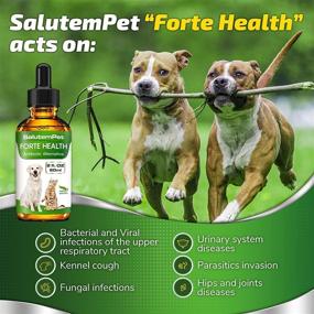 img 3 attached to 🌿 Organic Herbal Supplement for Dogs and Cats - Cranberry, Oregano, Echinacea - Enhances General Strength - 1200 Drops 2 Oz