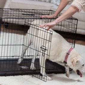 img 1 attached to PRECISION PET ProValu Wire Dog Crate: Ensuring Comfort, Security, and Optimal Confinement