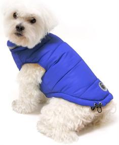 img 1 attached to FouFou Dog Royal Blue/Orange 2XL Fou Ski Parka Dog Coat