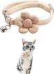 cats，kitten collar，cute collar，breakaway breakaway，cat personalized logo