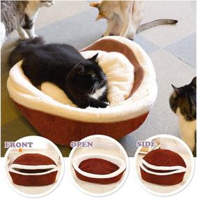 img 3 attached to ShellKingdom Cat Bed: Comfortable Retreat for Your Feline Friend and Small Pooch