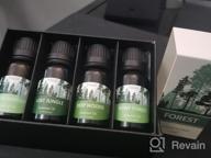 img 1 attached to Premium Woodsy Essential Oils Gift Set From ESSLUX Forest Collection For Diffuser, Home Fragrance, And Soap Candle Making - High-Quality Essential Oils Blend review by Janet Battle