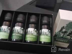img 8 attached to Premium Woodsy Essential Oils Gift Set From ESSLUX Forest Collection For Diffuser, Home Fragrance, And Soap Candle Making - High-Quality Essential Oils Blend