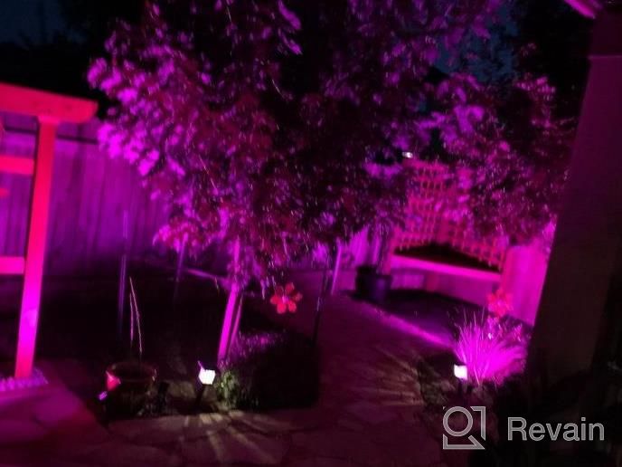 img 1 attached to ZUCKEO 6W RGB Outdoor LED Landscape Lights - Set Of 8, Waterproof, Remote Control, 16 Color Changing, Low Voltage Pathway Lights For Garden, Yard, And Indoors - 12V 24V Decorative Lighting Solution review by Jim Reinhardt