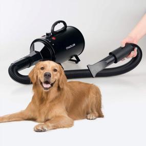 img 2 attached to 🐶 Powerful & Professional: CHAOLUN High Velocity Dog Dryer with Heater - 3.8HP Blower for Quick Drying and Stepless Adjustable Speed - Perfect for Pet Grooming in Black