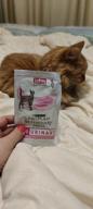 img 1 attached to Pro Plan Veterinary Diets UR wet food for cats with chicken 850 g review by Ewa Ewunia ᠌