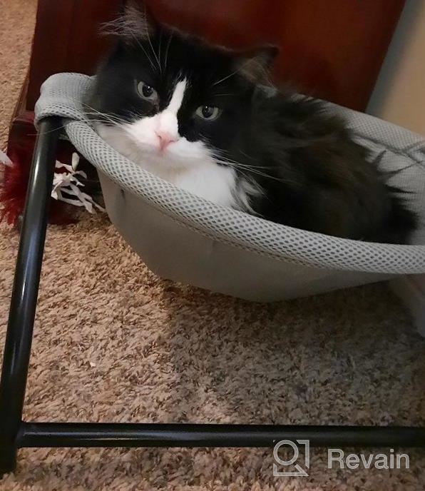 img 1 attached to Noyal Cat Hammock Bed: Elevated, Breathable, And Detachable For Indoor And Outdoor Kitty Comfort review by Allan Ryser