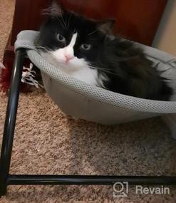 img 8 attached to Noyal Cat Hammock Bed: Elevated, Breathable, And Detachable For Indoor And Outdoor Kitty Comfort